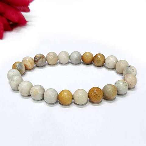 Certified Fossil Coral 8mm Natural Stone Bracelet
