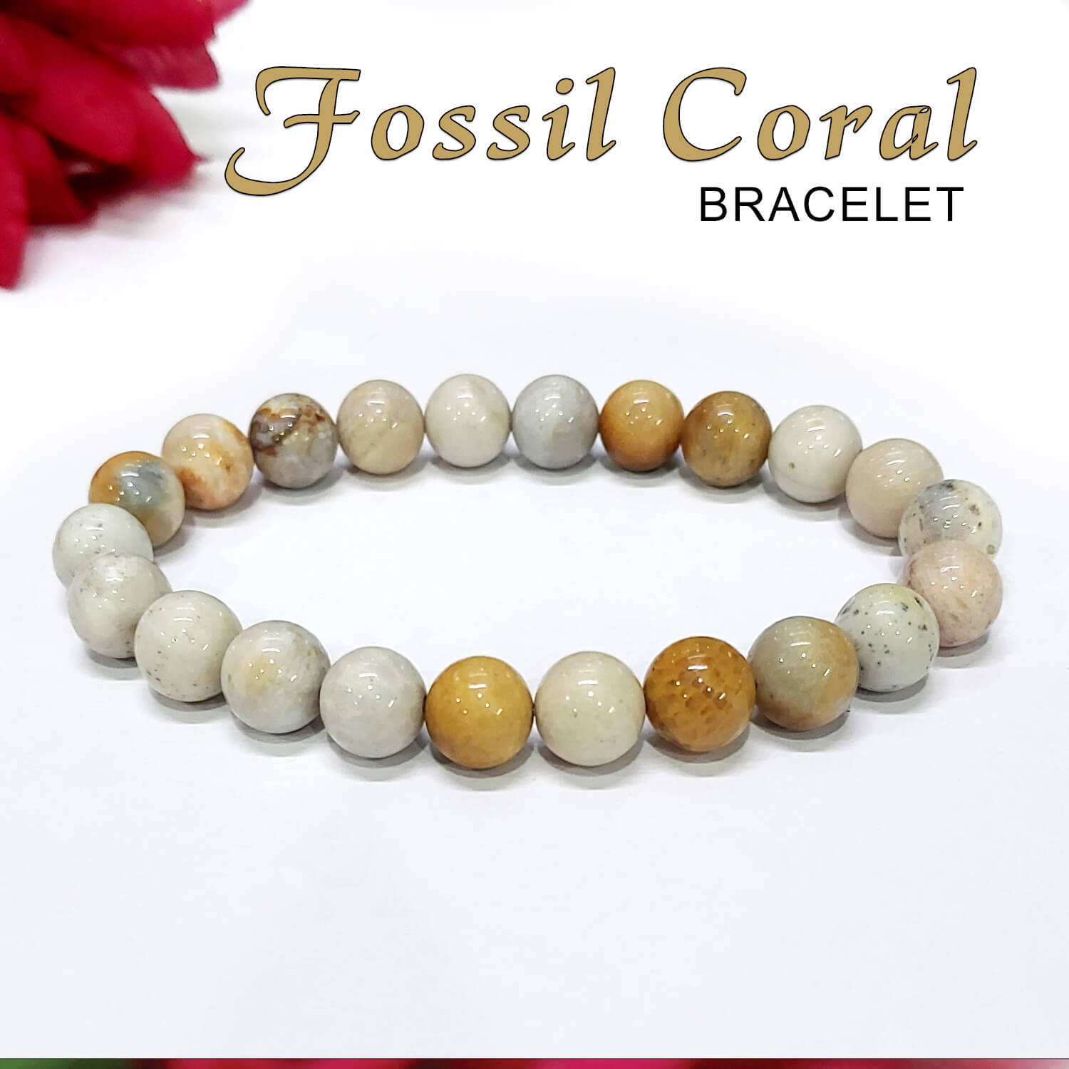 Jewelmak 14k Gold Angel Skin Coral Bracelet