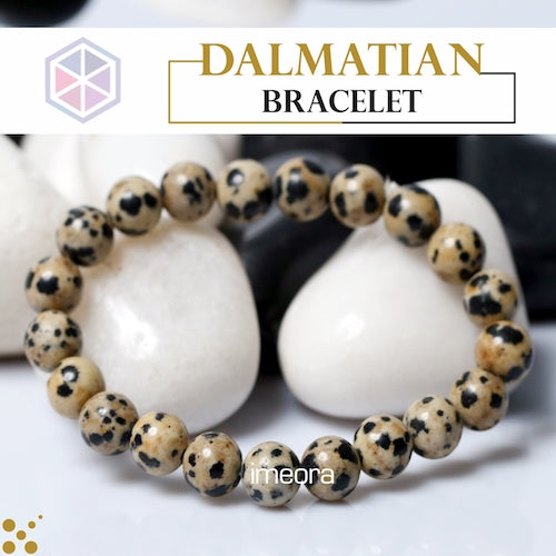 Dalmatian Jasper - bracelet - Dories Crystals And Things (Visions and  Dreams, LLC)