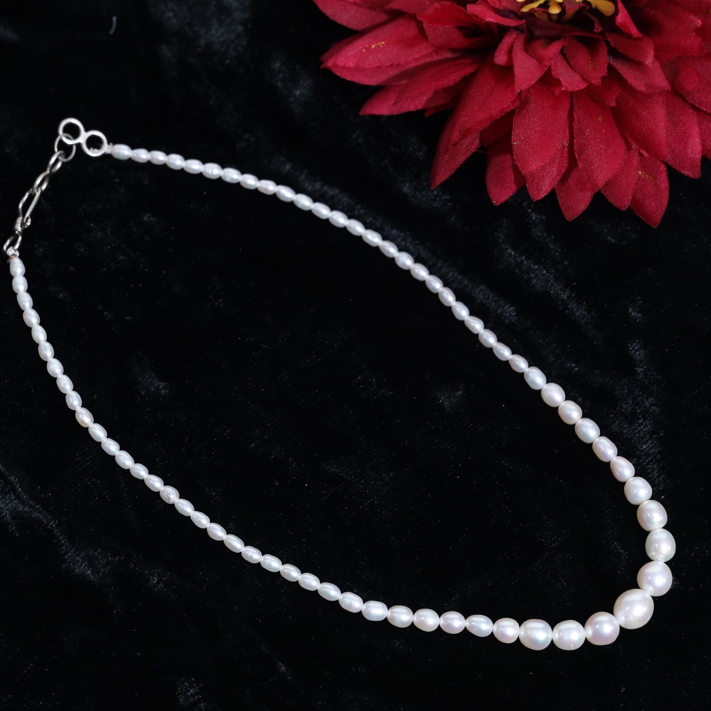 Finley Graduation Fresh Water Pearl Necklace