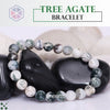 Certified Tree Agate 8mmNatural Stone Bracelet